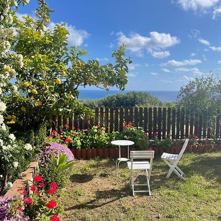 Appartamento Lavigna Marina di Camerota Εξωτερικό φωτογραφία